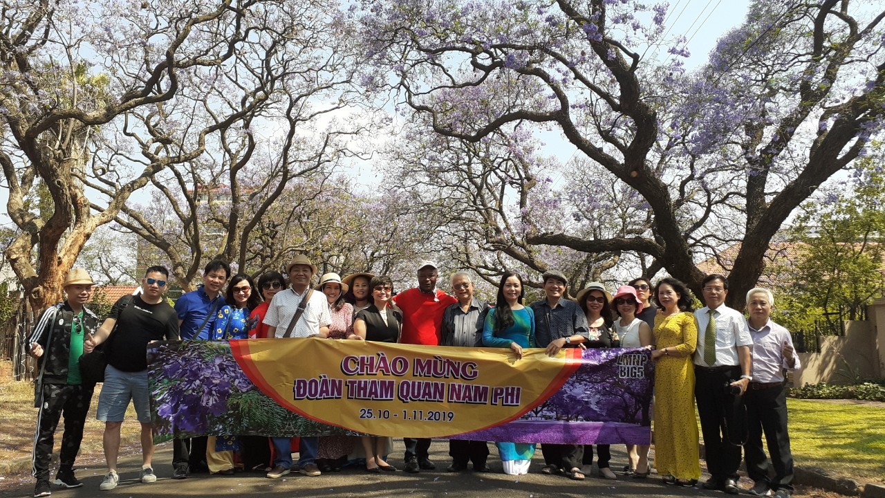 Mùa hoa phượng tím tại Nam Phi